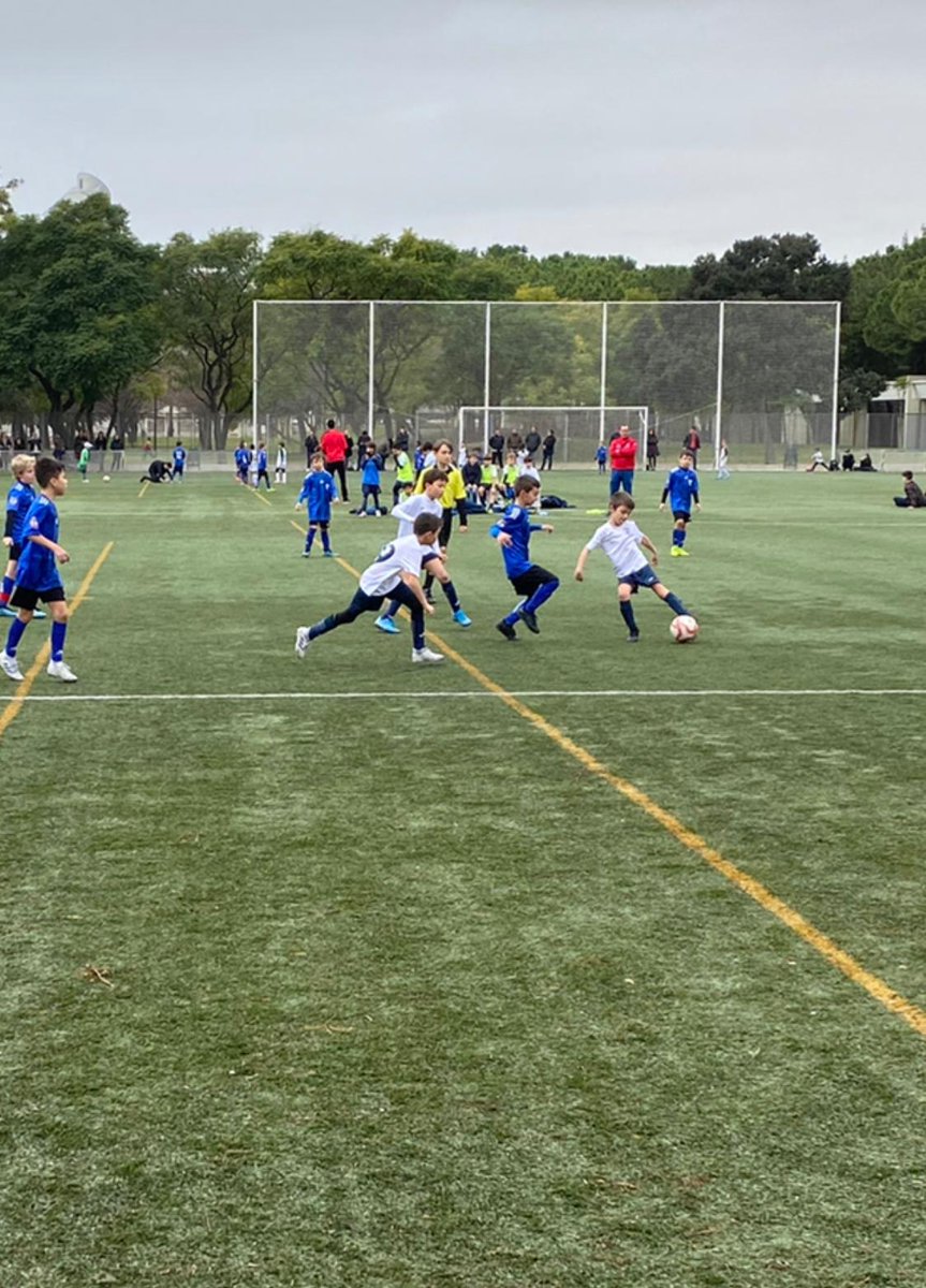 CD Exposición tweet media