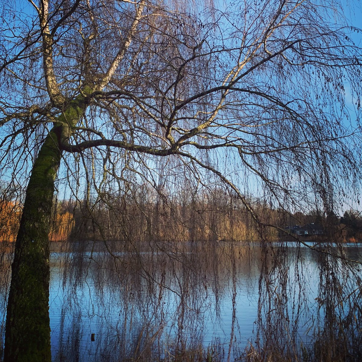 Du stellst meine Füße auf weiten Raum. #psalm31 #dnkgtt