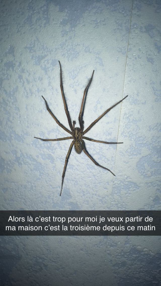 cam_iye's tweet photo. J’hésite entre leur laisser ma maison ou en faire un élevage https://t.co/fLHQqZZZIS