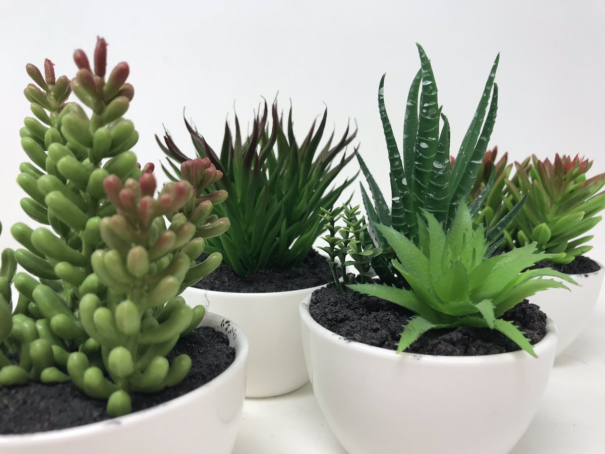 Love our #faux #succulents brighten up any room with these! #artificialflowers #wholesale #green #plants 🙌🌵