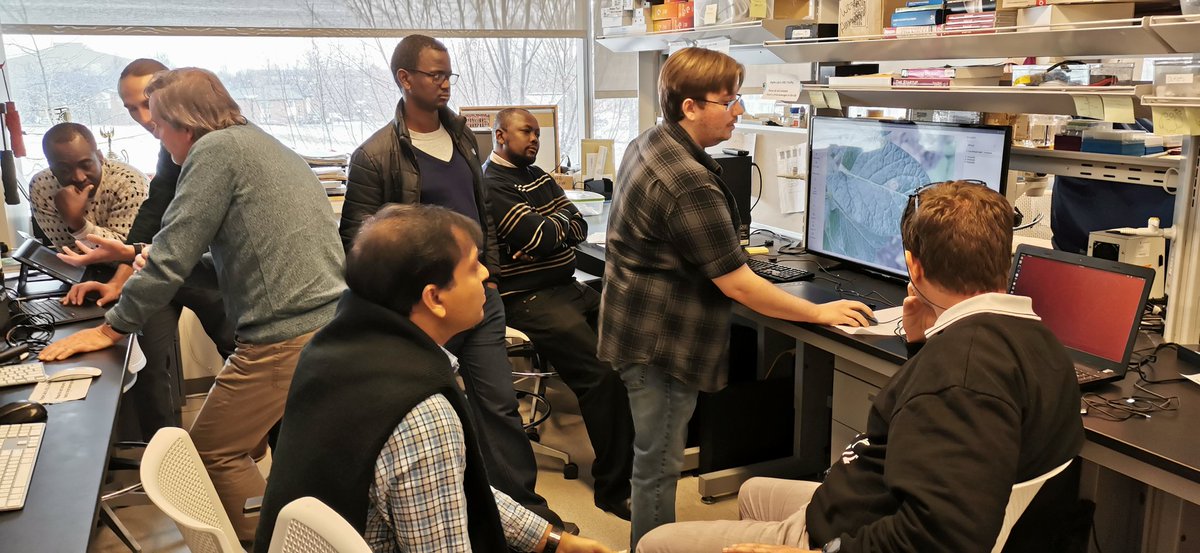 🌿🇺🇲🌿 Building 'Nuru' 🌿🇺🇲🌿

Building the artificial intelligence plant disease diagnosis app PlantVillage Nuru needs skill &amp; patience in collecting &amp; annotating images. Here the <a href="/RTB_CGIAR/">RootsTubersBananas Breeding</a> team sees how annotation is being done in the Penn State lab of <a href="/plantvillage/">PlantVillage</a>🌿
<a href="/CGIAR/">CGIAR</a>