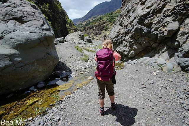 BeaMidik's tweet photo. April 2019
#calderadetaburiente #landschaftsfotografie #wandernauflapalma #lapalmaisland #schlucht #canaries #hiking #natur #natura #lastyear https://t.co/YQiPVH8RJL https://t.co/s2kBA52w9c