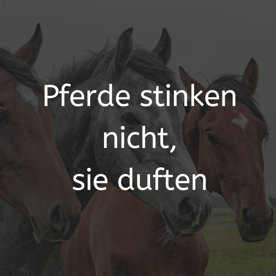 Alles reden über #KAI_IS_COMING oder den #ScheuerRuecktritt, und es gibt noch andere Dinge. Wenn du mal etwas anderes lesen willst, dann guck doch mal hier vorbei:

instagram.com/p/B7mMXf9C4w-/…