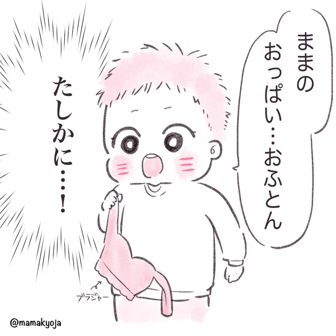 洗濯物たたんでいたら、おもむろに我がブラを掴み放った言葉とは。
#1歳11カ月 #育児絵日記 #ほっぺ丸日記 