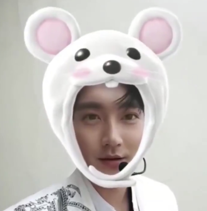 umaumadondon's tweet photo. 🐭🐭🐭🐭🐭㊗️ https://t.co/Zw0eVPklnK