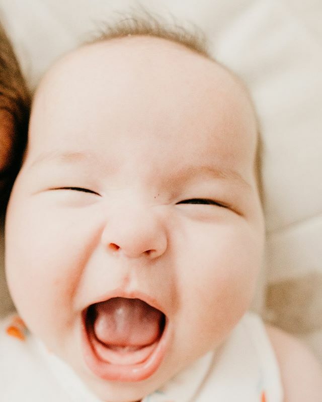 lissmitmir's tweet photo. Huat ah! May the year of the Rat bring many laughter and joy! .
.
.
.
#cny2020 #huatah #sgbabygirl #sgbaby #lepetitsociety #sgmum #laughingbaby https://t.co/gCLluV3y7P https://t.co/OdnyyzO46v