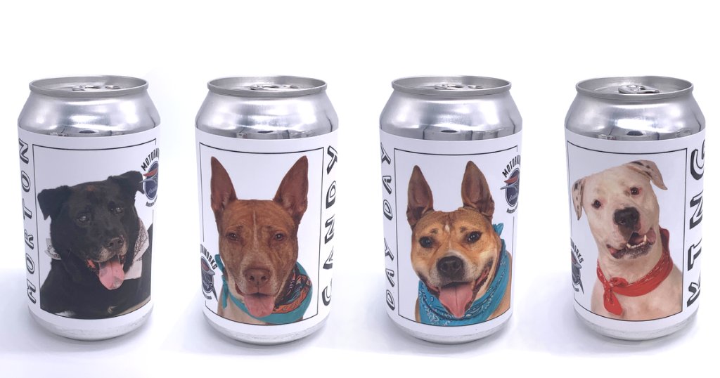 A Florida brewery is working to help dogs find their forever homes — by putting their faces on beer cans cbsn.ws/30RZtFg