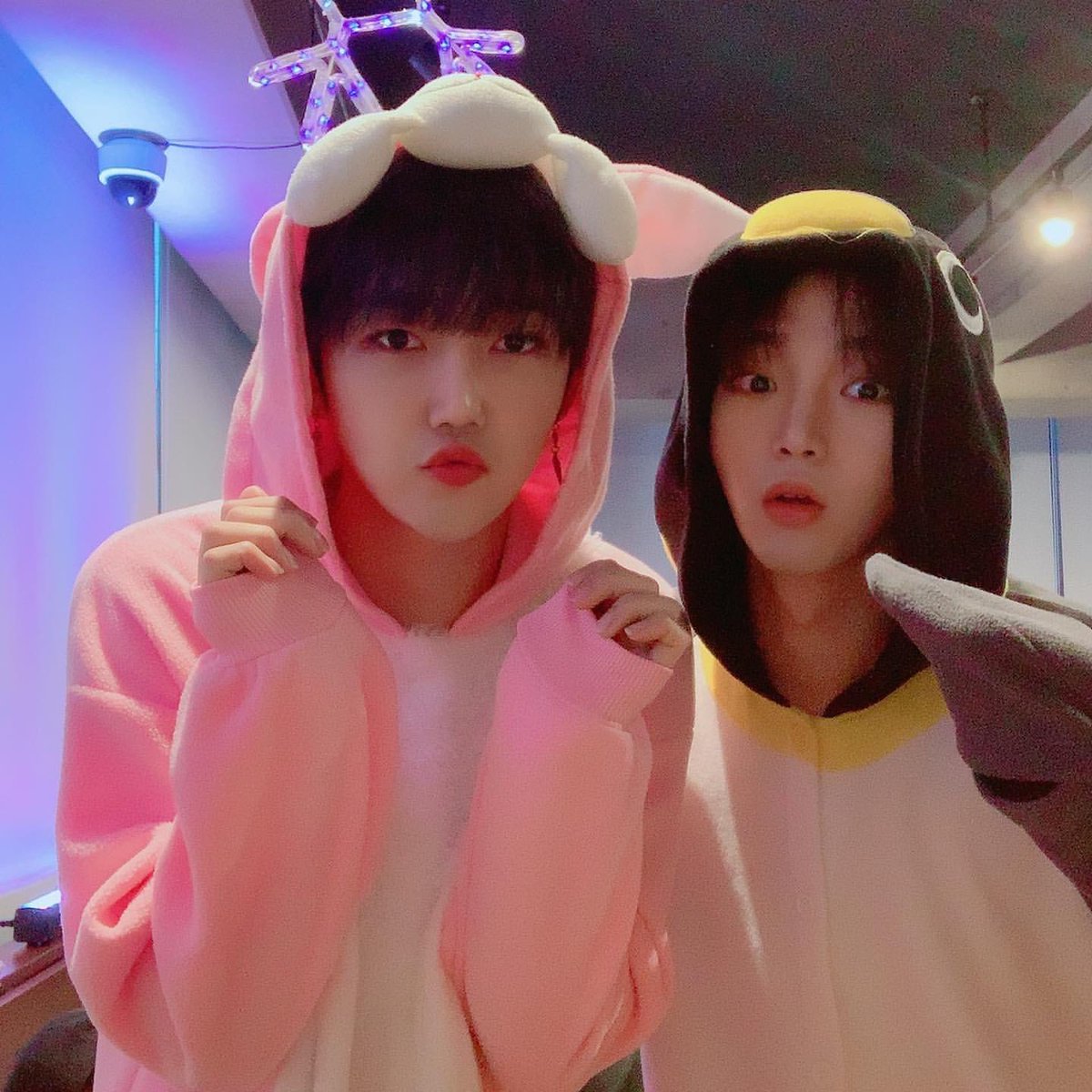 _ty__99's tweet photo. 에츄〜🐰🐧
可愛すぎる、、、 https://t.co/tfzPtUoOWQ
