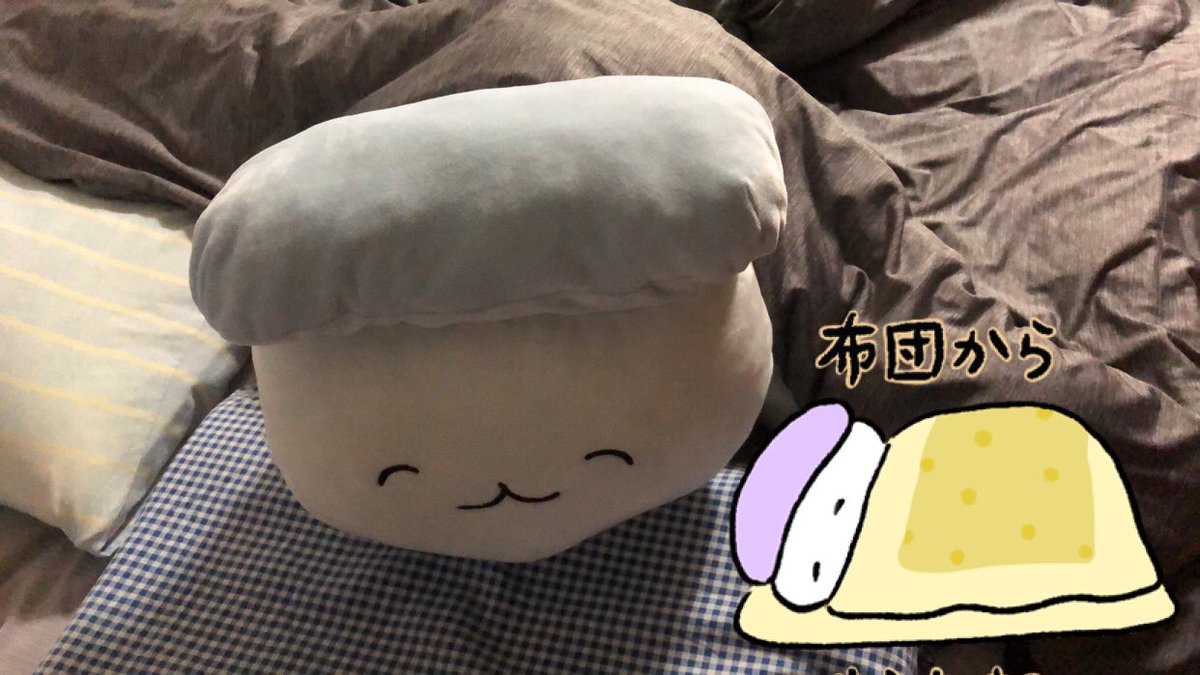 ymneet's tweet photo. お迎えしました
シャリも喜んでいます

YBI大先生とイエティ氏に感謝しつつ寝ます

 #おすしピープル譲渡完了 https://t.co/qP7pJP06O9