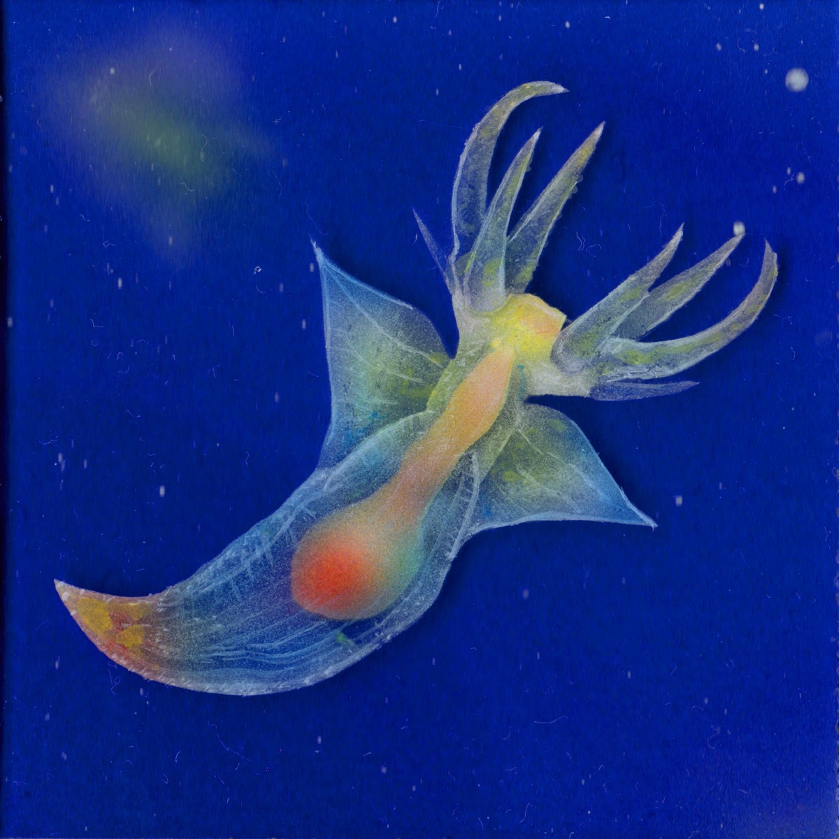 Twoucan バッカルコーン の注目ツイート イラスト マンガ