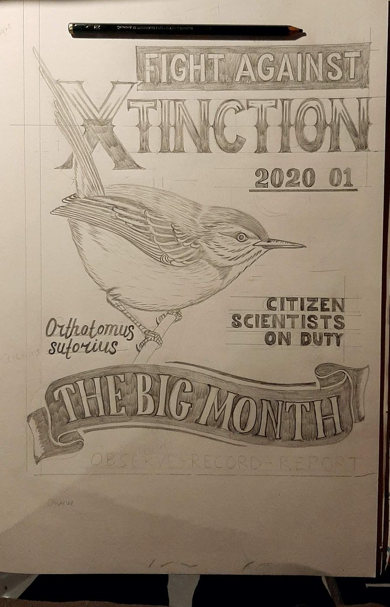 Birdpacker (@birdpacker) on Twitter photo WIP T-shirt design for #BigMonth2020 contributors using wood cutting method by pak Swiss. @TomSquires10 <a href="/smarsdenmmu/">Stuart Marsden</a> <a href="/orientbirdclub/">Oriental Bird Club</a> #FightAgainstExtinction
#CitizenScience pic.x.com/OjCvq6bLUS WIP T-shirt design for #BigMonth2020 contributors using wood cutting method by pak Swiss. @TomSquires10 <a href="/smarsdenmmu/">Stuart Marsden</a> <a href="/orientbirdclub/">Oriental Bird Club</a> #FightAgainstExtinction
#CitizenScience pic.x.com/OjCvq6bLUS