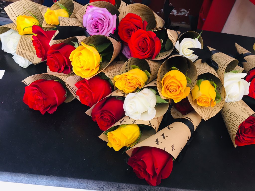 __Ashlye's tweet photo. بنات انا في الاحفاد قدام السنتر 🌹😘
#Ash_roses 
#رتويت https://t.co/FNQo2FhR9P