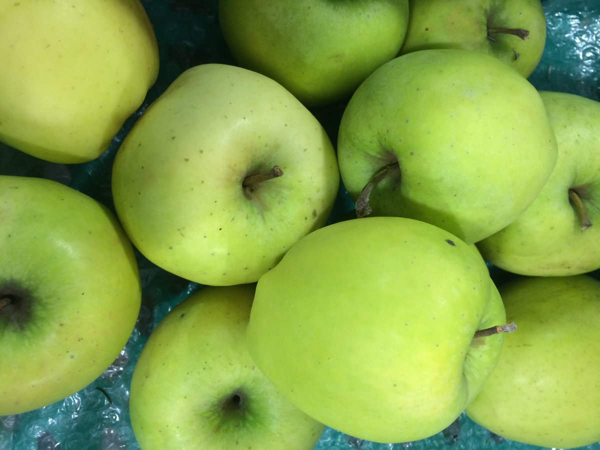 Bushelbox's tweet photo. There is still a great selection of #grownhere apples in the #farmshop. Such an array of textures and flavours: 
D'Arcy Spice 
Braeburn
Cox
Red Delicious
Fuji
Crispin
Gala
Tydemans Late Orange - my current fav😍
Jonagold
Egremont Russet
Spartan
Tentation (in bags)
#ShopLocal https://t.co/2dSX96GxzB