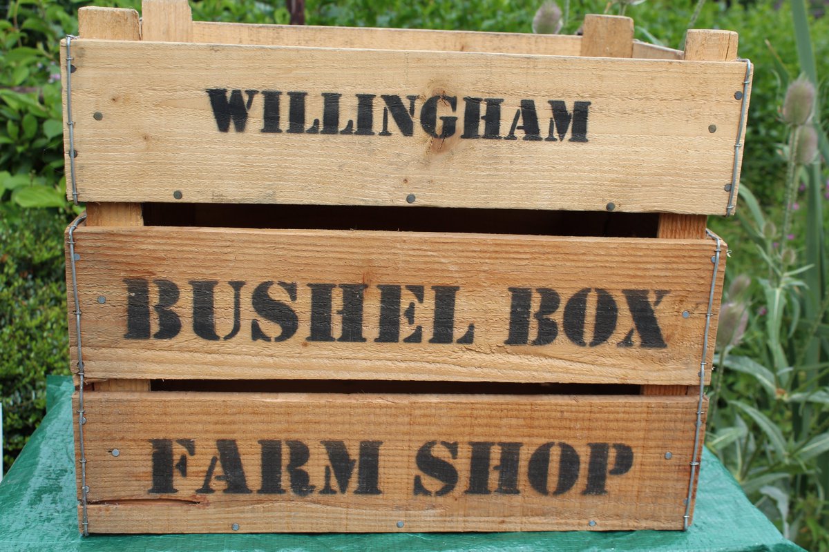 Bushelbox's tweet photo. There is still a great selection of #grownhere apples in the #farmshop. Such an array of textures and flavours: 
D'Arcy Spice 
Braeburn
Cox
Red Delicious
Fuji
Crispin
Gala
Tydemans Late Orange - my current fav😍
Jonagold
Egremont Russet
Spartan
Tentation (in bags)
#ShopLocal https://t.co/2dSX96GxzB