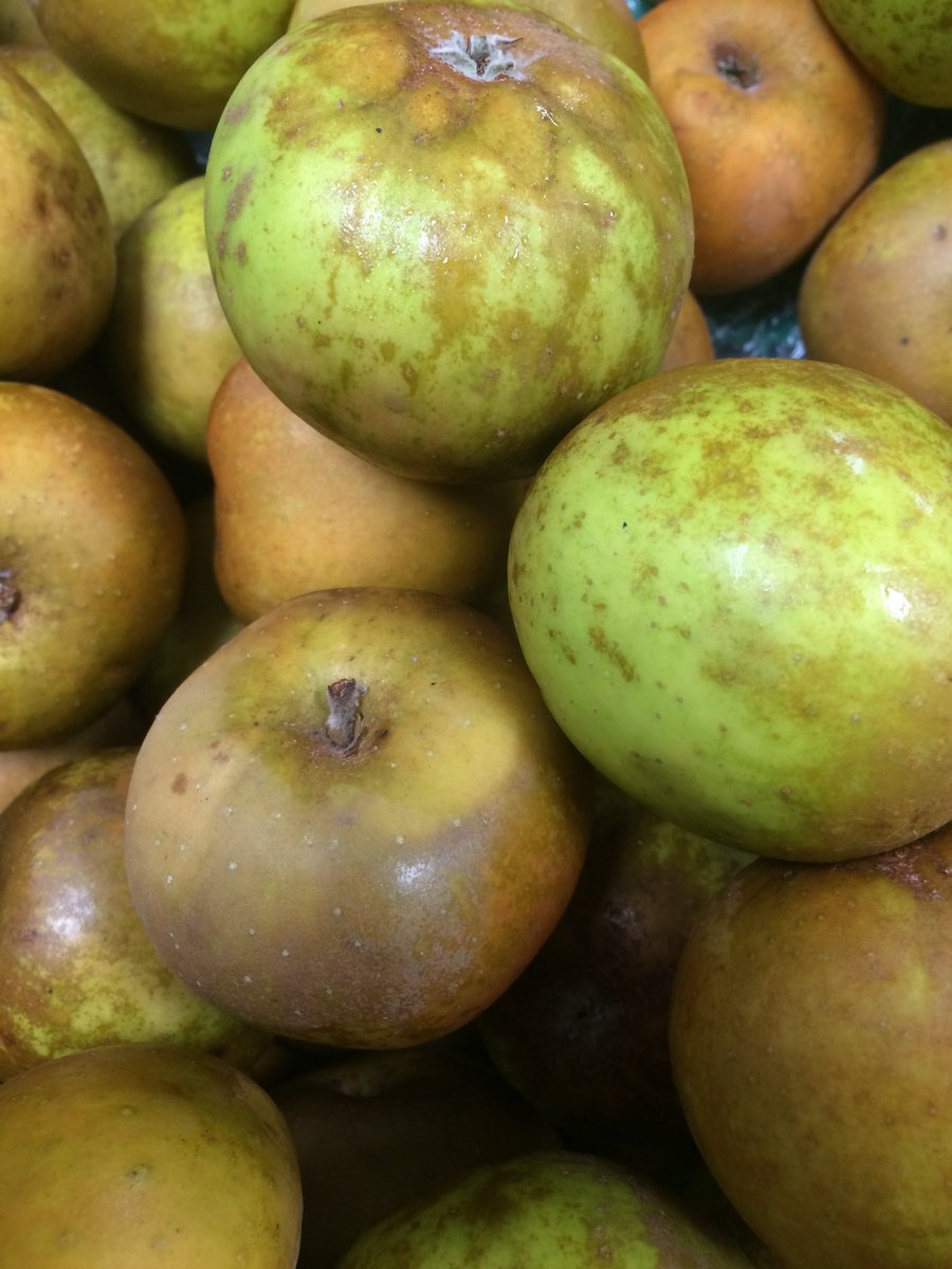 Bushelbox's tweet photo. There is still a great selection of #grownhere apples in the #farmshop. Such an array of textures and flavours: 
D'Arcy Spice 
Braeburn
Cox
Red Delicious
Fuji
Crispin
Gala
Tydemans Late Orange - my current fav😍
Jonagold
Egremont Russet
Spartan
Tentation (in bags)
#ShopLocal https://t.co/2dSX96GxzB