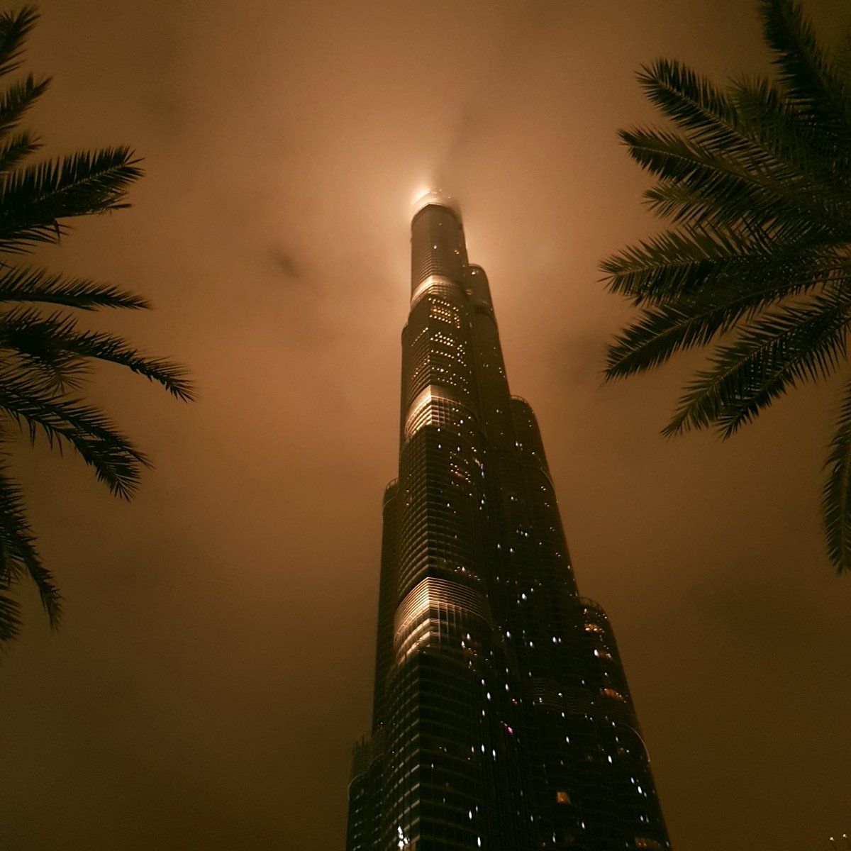 leisnarcotics's tweet photo. Find the intricate beauty at the top but never ever forget the simplicity on the side π΄ that makes it more meaningful. π¦πͺ @visitdubai @BurjKhalifa
#BurjKhalifa #PalmTree #UAENationalTree #UAE #WorldTallestBuilding #MyDubai #SamsungNote8Photography #DubaiPhotography #LovinDubai https://t.co/ZcVFsrbYLv