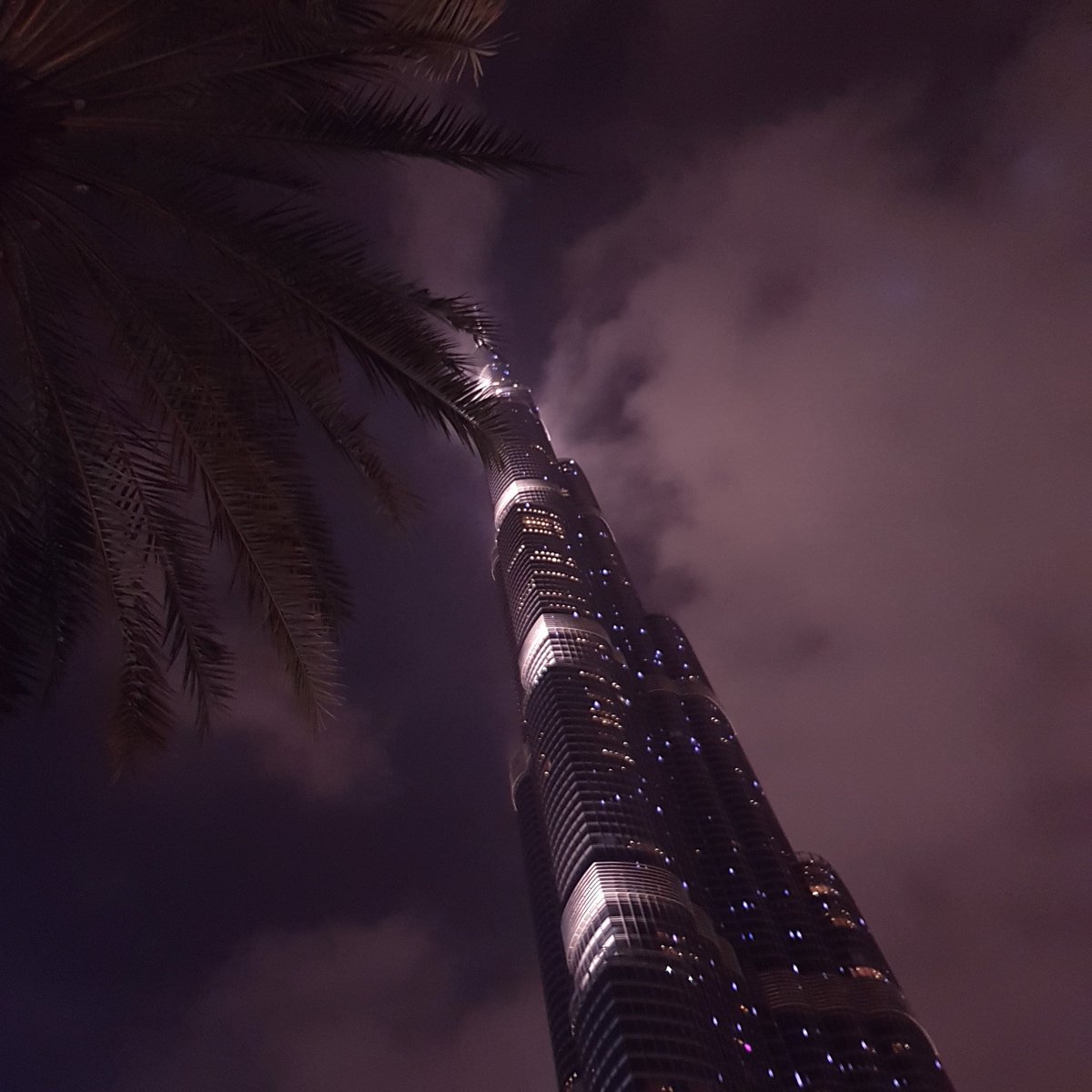 leisnarcotics's tweet photo. Find the intricate beauty at the top but never ever forget the simplicity on the side π΄ that makes it more meaningful. π¦πͺ @visitdubai @BurjKhalifa
#BurjKhalifa #PalmTree #UAENationalTree #UAE #WorldTallestBuilding #MyDubai #SamsungNote8Photography #DubaiPhotography #LovinDubai https://t.co/ZcVFsrbYLv