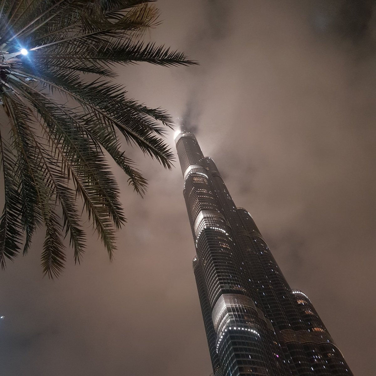 leisnarcotics's tweet photo. Find the intricate beauty at the top but never ever forget the simplicity on the side π΄ that makes it more meaningful. π¦πͺ @visitdubai @BurjKhalifa
#BurjKhalifa #PalmTree #UAENationalTree #UAE #WorldTallestBuilding #MyDubai #SamsungNote8Photography #DubaiPhotography #LovinDubai https://t.co/ZcVFsrbYLv