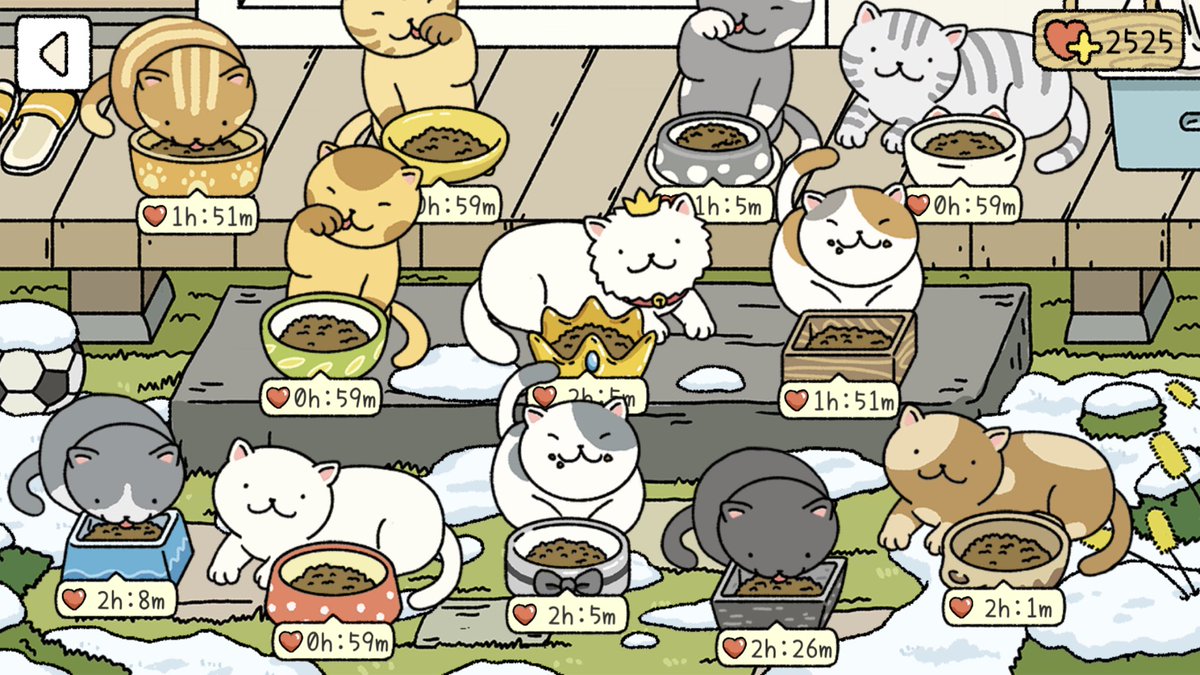 My hungry cats 😍 #AdorableHome