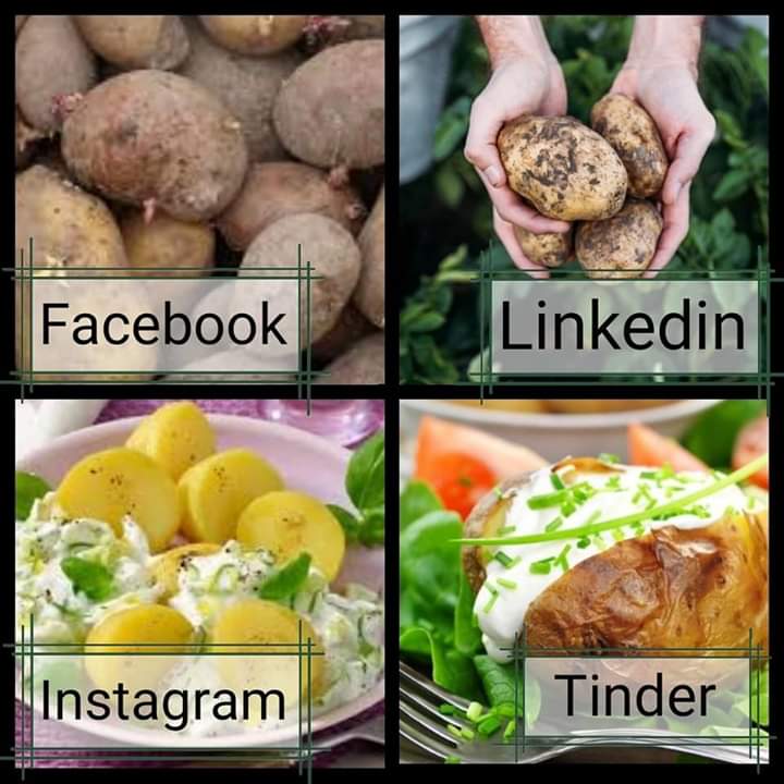 Zur aktuellen Session: #tcamp20