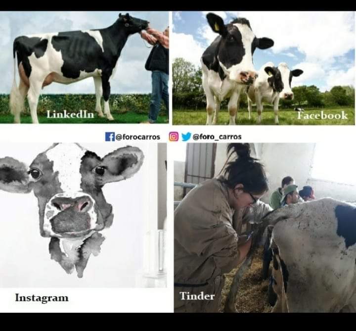 E vos, cantas redes sociais estades dispostos a recoñecer?