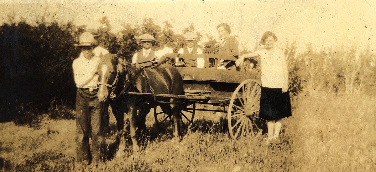 I’ve noticed many parallels between crofting and my Granny's early life on the Canadian prairies, so I've written a post about what life was like for these early Homesteaders. My Gran is the one on the far right in the photo below, taken in 1931.
darachcroft.com/news/a-prairie…
 🚜 Hugh