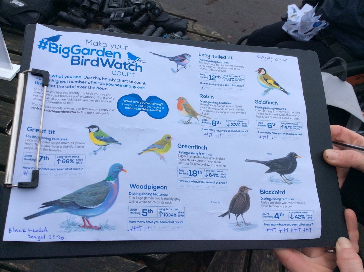 We’ve had a great morning doing the <a href="/RSPB_Learning/">RSPB Learning</a> #bigschoolsbirdwatch with our Family Wildlife Club and <a href="/LearnatCZ/">Chester Zoo Learning</a>. We saw lots and lots of seagulls! We also saw a wide variety of other birds including pigeons, sparrows, blackbirds, crows, robins, chaffinches and blue tits!