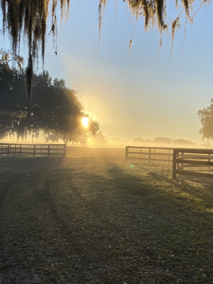 Nothing better than a beautiful morning <a href="/Kinsman_Farm/">Kinsman Farm</a> #SaturdayMorning