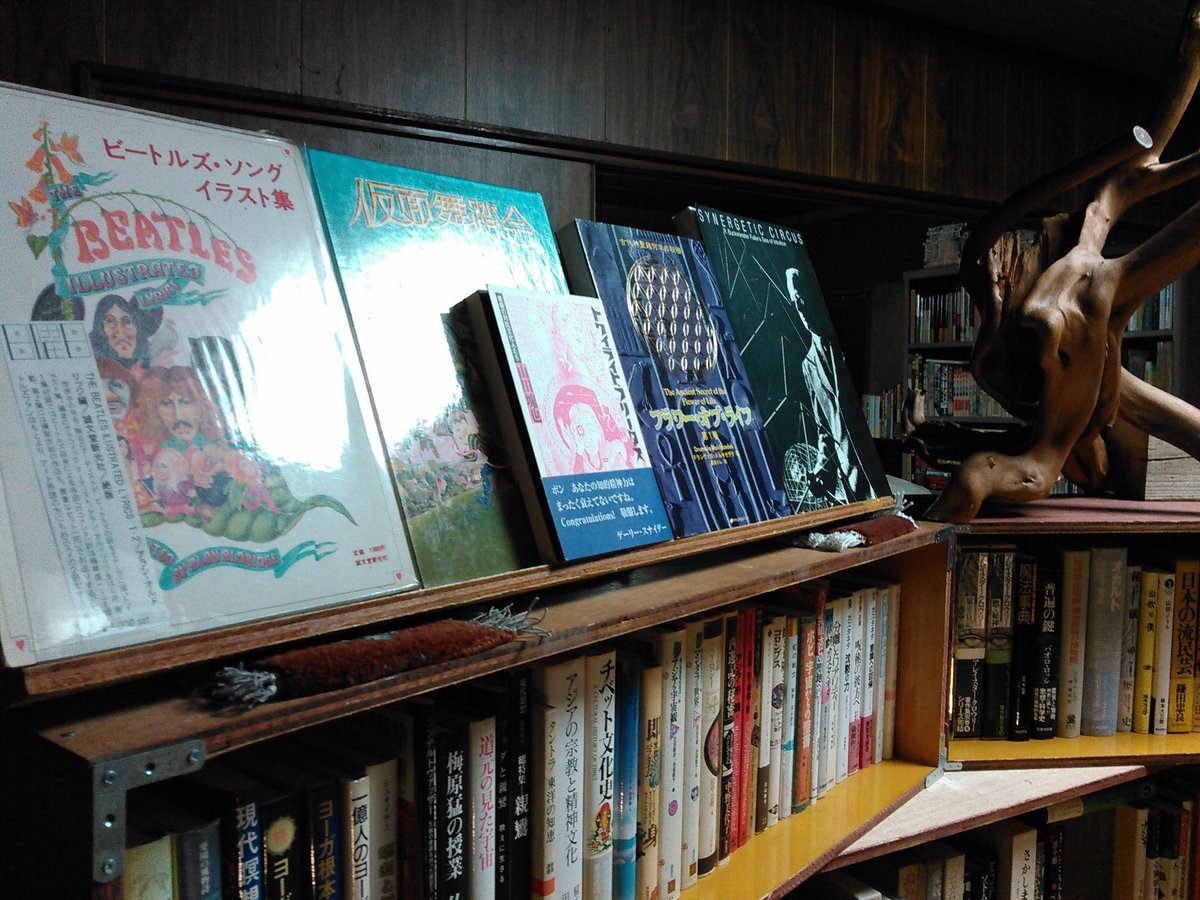 DUAL_BOOKs's tweet photo. なんとか前夜のうちに棚リ終わりました。テーマ設定が難しかったので
『いかにもはい
私が古本珈琲日曜日です』
という選書になっております。
26日日曜日12~20時、余市駅前にてお待ちしております。
#snowsession #余市 https://t.co/2GICOZrrj9