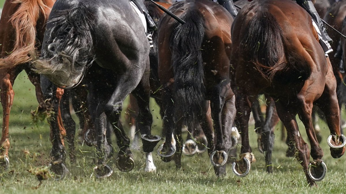 🏇 We're refunding bets on Cloudy Glen in 1.15PM @CheltenhamRaces as the horse ran out at the first. Singles only.