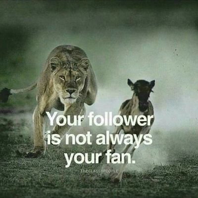 DDZakArsenal's tweet photo. Some just want to cause an #earthquake in your life #SaturdayThoughts #OnceAlways #UPWelcomeDay #coronarovirus #telkom https://t.co/g7r1JNv0s0