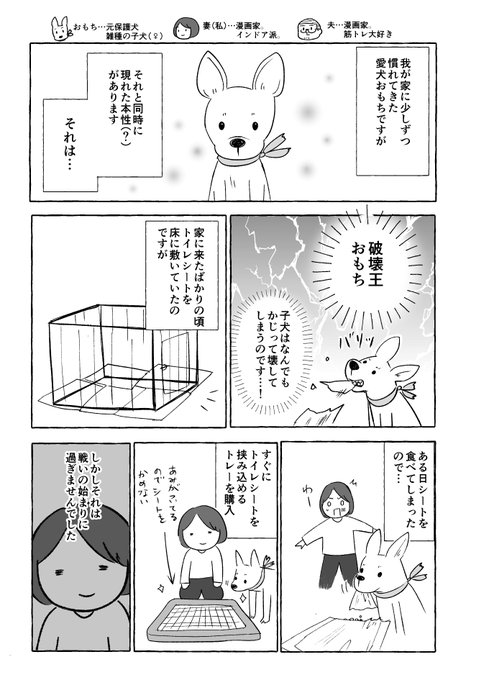 おもち を含むマンガ一覧 ツイコミ 仮
