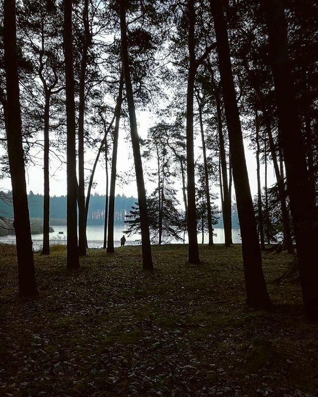 beow00lf's tweet photo. Prawie jak wiosna. 🌤️
#zalewłęg #styczeń #weroampoland https://t.co/deiBY96r2y https://t.co/Sj13RjhP1N
