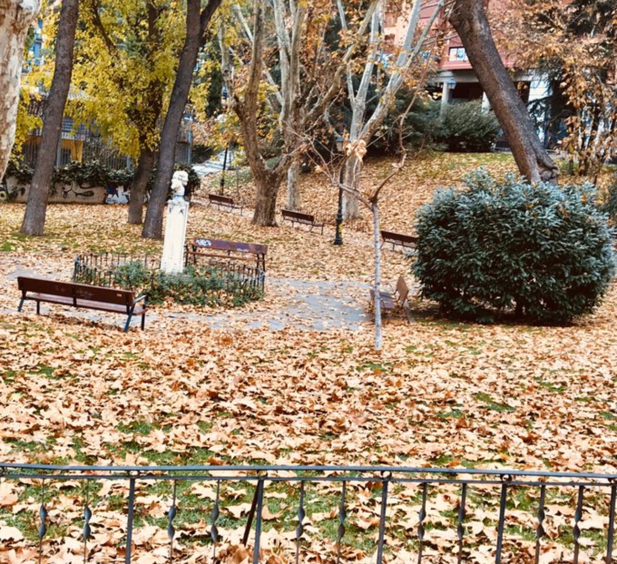 “Jardines de Doña Concha Piquer” 

Fotografía que nos envía @Bezerra81 - Twitter

#Madrid #parque #demadridalcielo