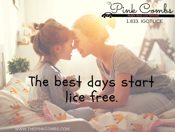 NitLynn's tweet photo. Morning snuggles are the best. Morning sunggles without head lice are even better.
Schedule your appointment today. #liceprevention #toddlers #teachers #mommylife #momlife ##pinkcombs https://t.co/c4O24imUSy