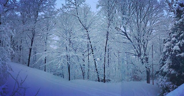 SherylsClub175's tweet photo. ☃️ Winter wonderland ❄️ https://t.co/ILxrCVqfgQ https://t.co/8FwdKQIRkS