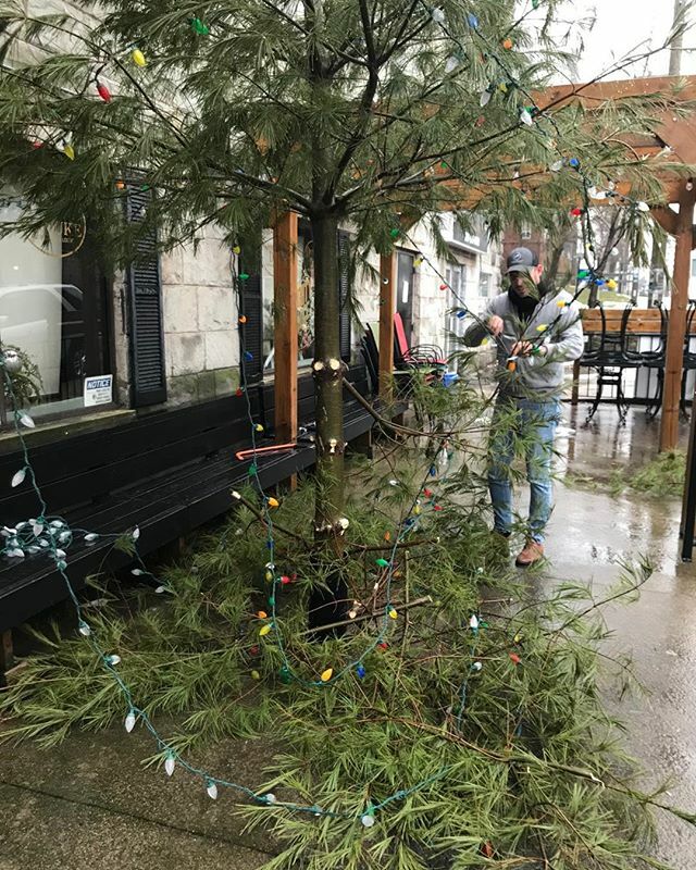 ZigMisiak's tweet photo. Is it to soon? Christmas tree coming down today January 25th, at One Duke. #onedukeham #justdukeitham #zigmisiak https://t.co/fTTPLmju1K https://t.co/NlBwgHvCuj
