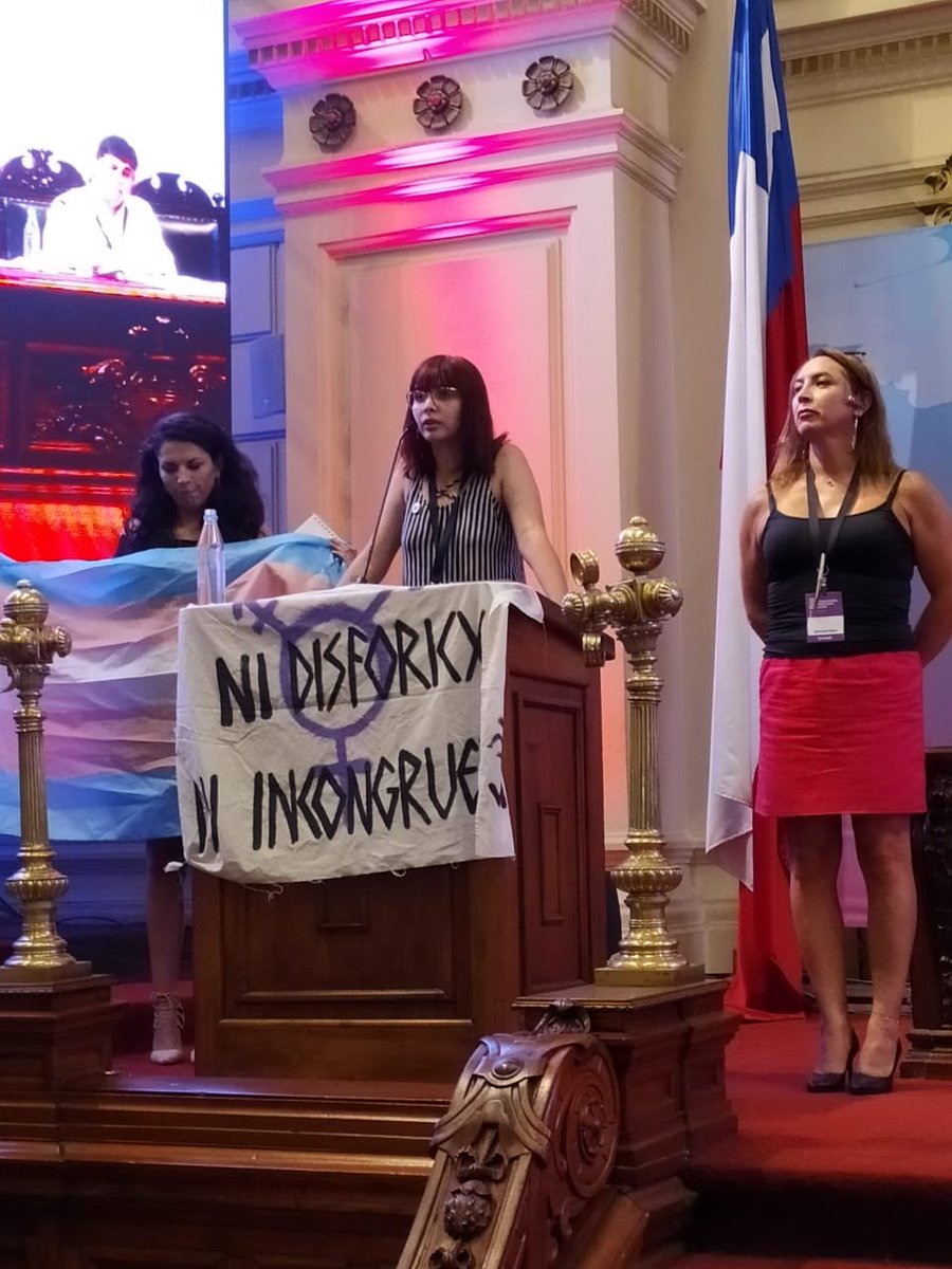 foladdhh's tweet photo. Antonia Torres, Verónica Arteaga y Tania Sepúlveda en representación de la comunidad LGBTIQ+ presentes en el Foro Latinoamericano de Derechos Humanos. 
#foladh #foladh2020 #aquíyahora #derechoshumanos #DDHH https://t.co/fhTjxk6YBb