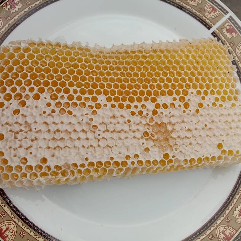Honey comb hrga murah