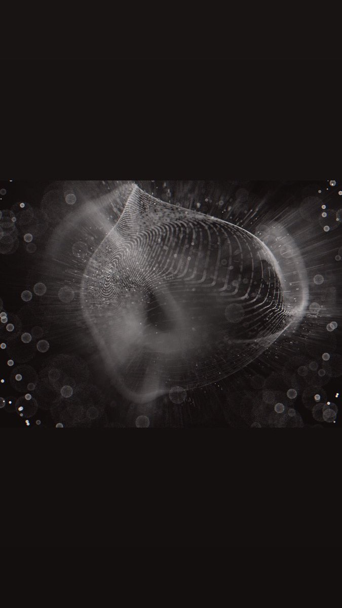 Frédéric Dilé tweet media