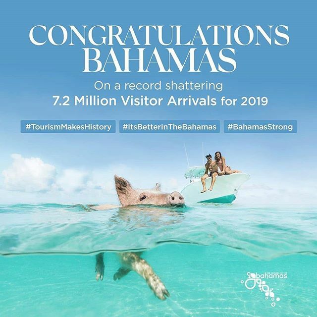 CanuckPalms's tweet photo. .
Congratulations to The Bahamas, celebrating a record-breaking 7 MILLION VISITORS in 2019! .
@canuckpalms
https://t.co/KKqEyXuSUk
.
#repost
📸 @tourismtodaybahamas
.
.
.
.
.
#TourismMakesHistory #ItsBetterInTheBahamas #BahamasStrong #Exuma #SUP #topbeaches #bahamas #greatex… https://t.co/O4p3bAoflJ