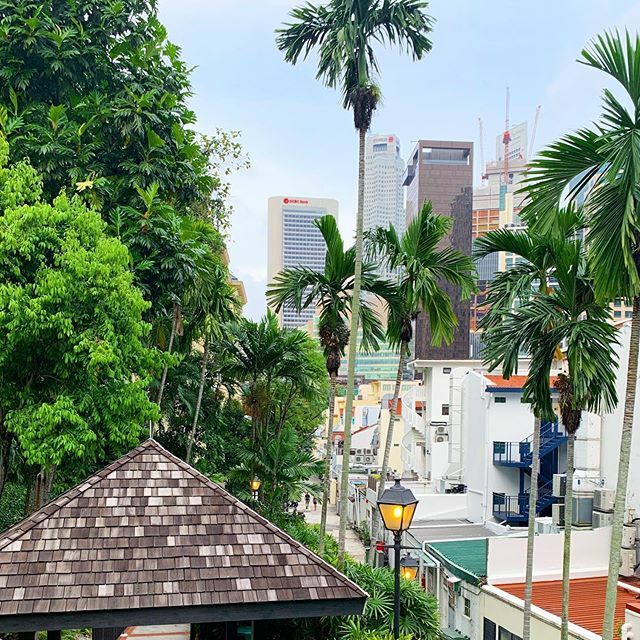 GlobalMary's tweet image. Hostels. The story how I tried, but they failed 😝 🤷‍♀️
Singapore is a really expensive city by SEA standards. So I thought, hey, I am traveling for three months and I shouldn’t spend too much money, so I might try to stay in a hostel. Maybe I will like i… ift.tt/2GqRndi