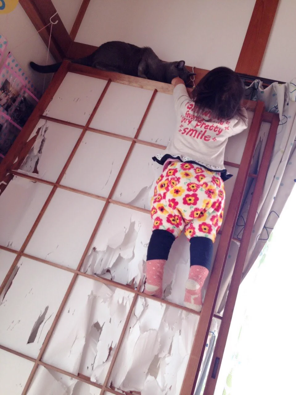 子どもがねこに遊び方をレクチャーされていた！？衝撃画像がこちらwww