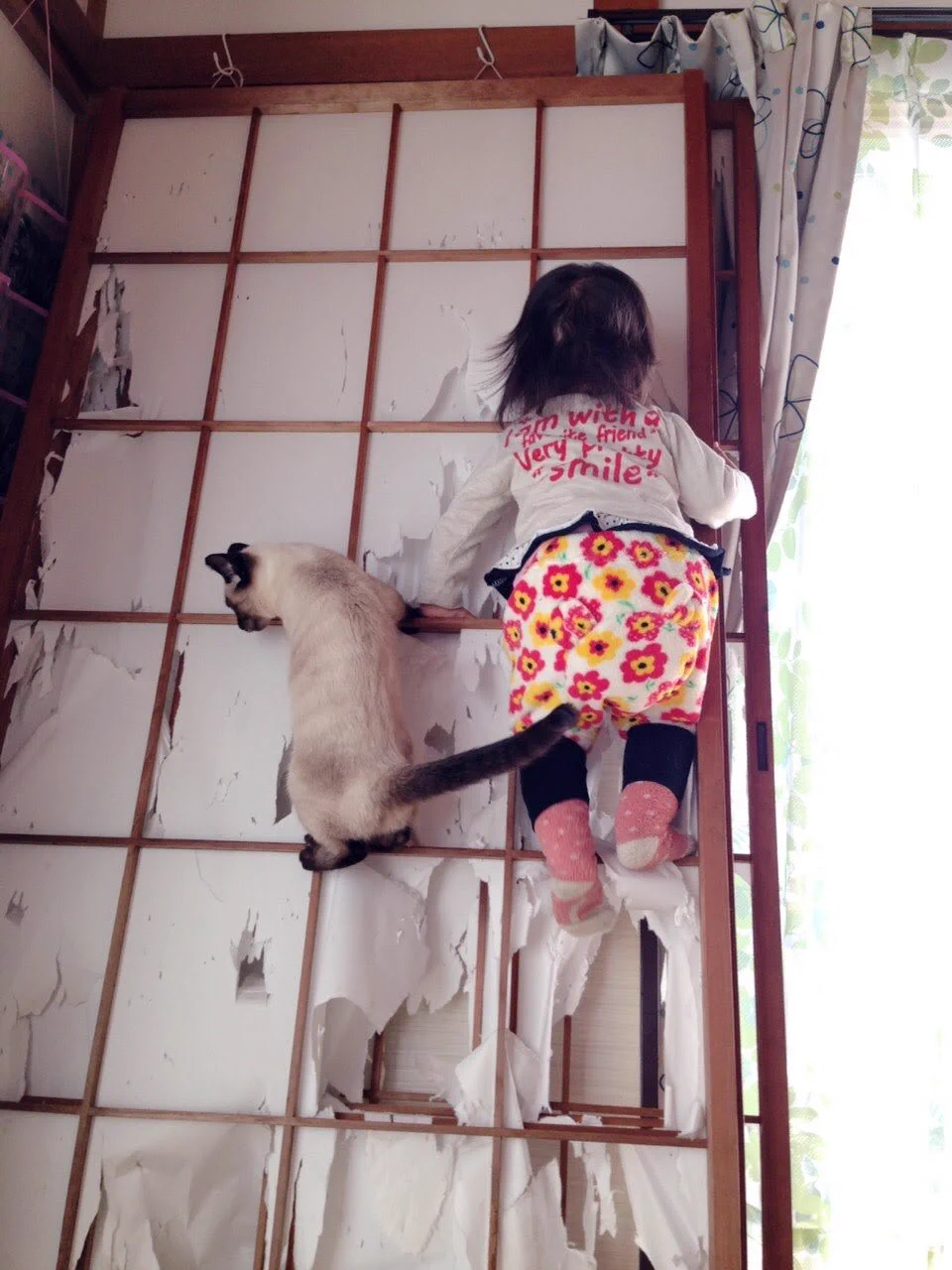 子どもがねこに遊び方をレクチャーされていた！？衝撃画像がこちらwww