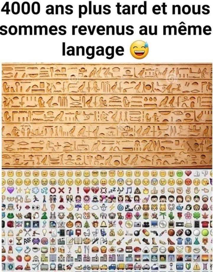 QuartierLIBRE5's tweet photo. 😂😂😂😂 https://t.co/sJADpxVfbk