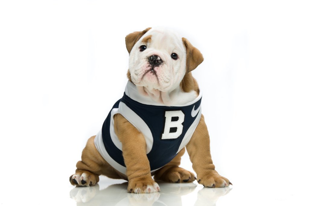 Meet my newest “nephew”  He’s absolutely adorable.  Sure hope he can make it to the family wedding   🥰 #ButlerBlueIV  indystar.com/picture-galler…