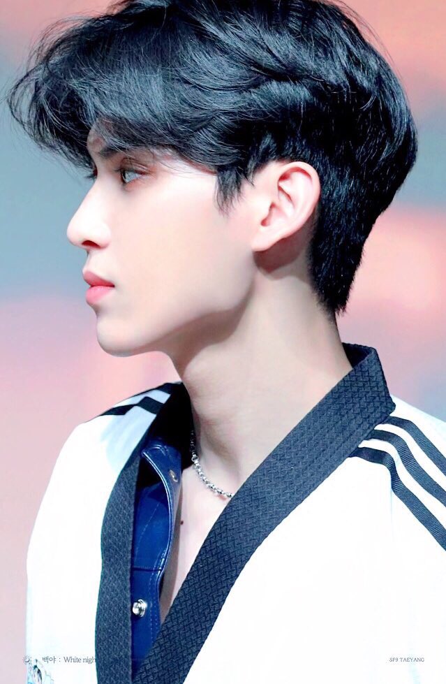 taeyang, 1997, lead vocal, main dancer, choreographer