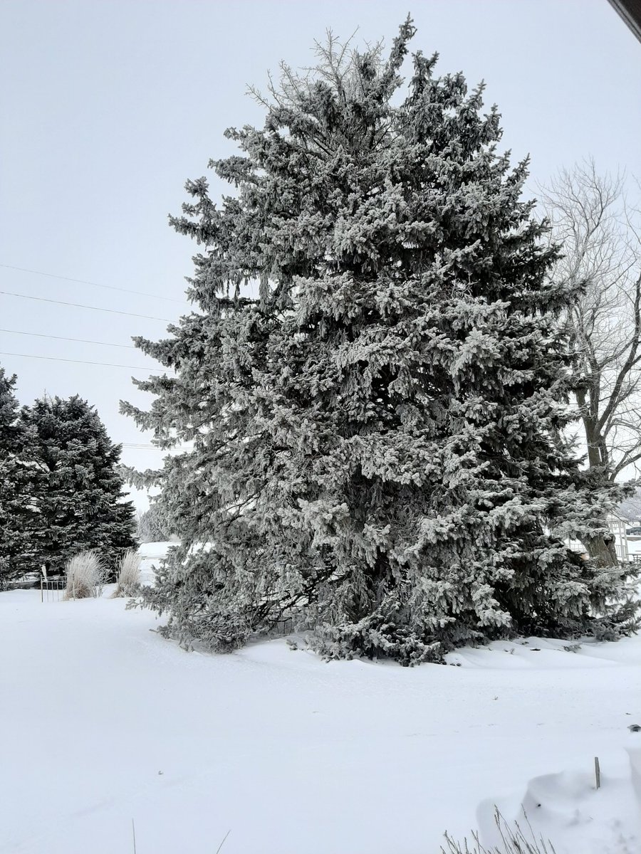 radeunk's tweet image. Enjoying God's beauty this morning.❄❤