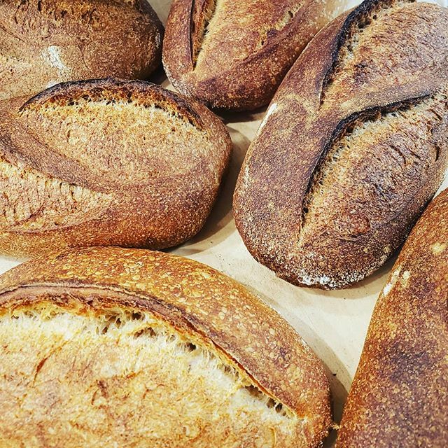 Bread knows how to be bread as Travis @prairieskybreads taught me years ago.  We're transitioning between a few wheat varietals this week. It's been part challenge part adventure watching how each type behaves. Thanks to @oven_coven for paying attention, to @bakersfieldflour…