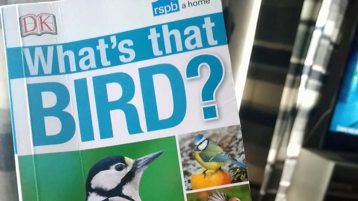 Just completed the #biggardenbirdwatch if you have a spare hour this weekend be sure to join in. The Rspb website has all the details you need. 

#birdwatching #birds #rspb #rspb_love_nature #Nottingham #wildbirds #Nottingham <a href="/Natures_Voice/">RSPB</a>